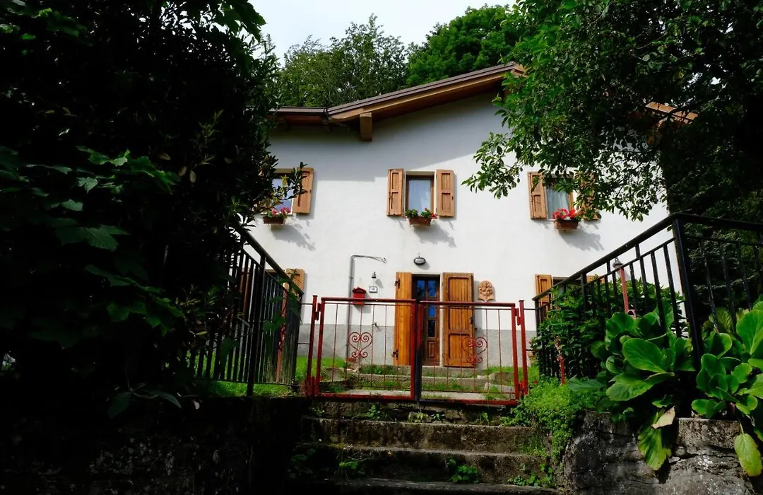 B&B La Tana Dei Ricci-1